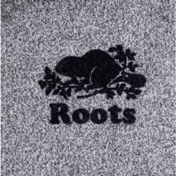 New with tags- Roots Kids Charcoal Zip-Up Hoodie - Picture 2 of 6